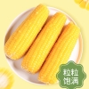 邻家饭香 东北鲜食黄糯玉米 1600g(200g* 8穗/盒) LJFX72-Y