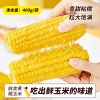 邻家饭香 东北鲜食黄糯玉米 1600g(200g* 8穗/盒) LJFX72-Y