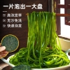 鲜山叔 有机压缩海带丝160g/1盒（16g*10片）