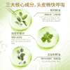 舒蕾绿茶籽控油去屑洗发露100ml