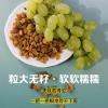 粒上皇葡萄干68g-LSH0017