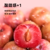 粒上皇半边梅88g-LSH0008