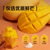 粒上皇芒果干108g-LSH0016