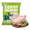 小鸡海蒂·太行山生态老母鸡1只装 1.15kg