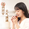元气森林 元气自在水-红枣枸杞500ml*15（0糖0脂）
