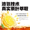 元气森林 冰茶-冰爆柠檬900ml*12瓶