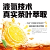 元气森林 冰茶-低糖-葡萄柚冰绿茶 PET900ml