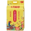 十月稻田 生态稻香米5kg