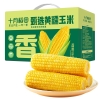 十月稻田零添加鲜食黄糯玉米1.32kg（220gX6）