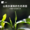小罐茶园 小罐茶 银罐系列·金骏眉红茶10罐装 40g