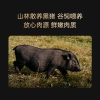 锋味派法式香草味猪肉爆汁烤肠440g