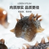 江鲜森国标·鲜食海参2088款 1500g（24-36头）