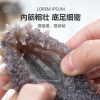 江鲜森国标·鲜食海参2088款 1500g（24-36头）