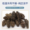 江鲜森国标·生态淡干海参3058款 250g（25-30头）