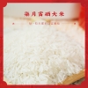 【陇间柒月】有凤来仪A2
