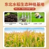 邻家饭香 鸿运当头 东北大米 5kg/袋