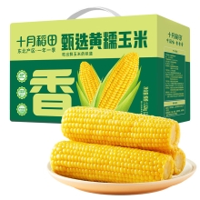 十月稻田零添加鲜食黄糯玉米1.32kg（220gX6）