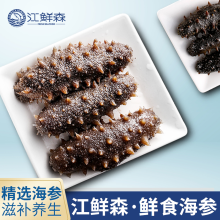 江鲜森国标·鲜食海参2088款 1500g（24-36头）