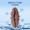 北京同仁堂时光氧净制干海参特级200克 （80-120头）