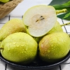 嗨果粒 库尔勒香梨优选3斤 上架时间1月1日下架时间2月28日