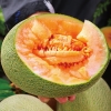 嗨果粒 精品哈密瓜 8斤左右