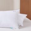 罗曼罗兰好梦枕 48*74cm