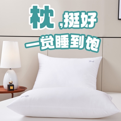 罗曼罗兰好梦枕 48*74cm