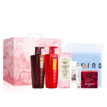 沙宣冬季滋养C型