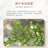 诗朗植萃防脱育发洗发露750g SLXF750G1119