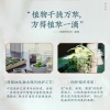 诗朗植萃茶籽水养丝滑护发素750g SLHF750G6058