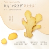 诗朗【控油】洗护组合 茶籽洗发+生姜护发 750g*2 SLTZ1500G002