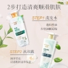 诗朗【净油蓬松】洗沐组合 茶籽洗发+绿茶沐浴 500g*2 SLTZ1000G006