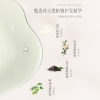 诗朗 生姜去屑修护洗发露500g+樱花氨基酸沐浴露500g SL19