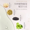 诗朗【茶籽精华】洗护组合 茶籽洗发+茶籽护发 750g*2 SL23