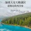福东海【初見系列】西洋参+西洋参-B