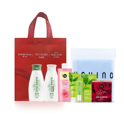 资生堂冬季套装 B型