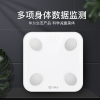 云康宝智能体脂称CS20E电池款