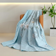 红豆家纺冰瓷凉感被
(花色：秋野浅枝) 200&times;230cm HDB26316