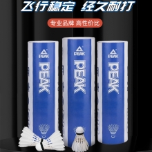 匹克*初级羽毛球拍（双拍）YY41441